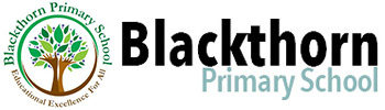 Web Logo Blackthorn 